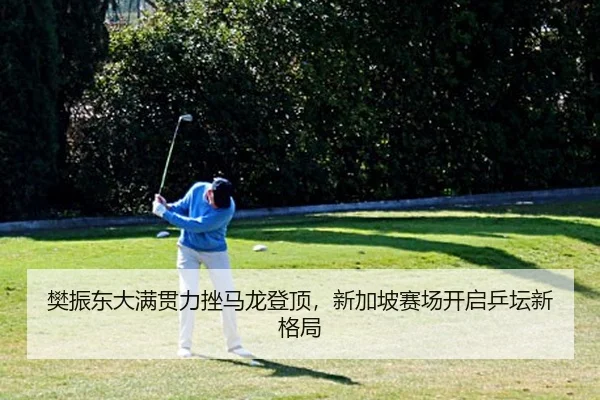樊振东大满贯力挫马龙登顶，新加坡赛场开启乒坛新格局